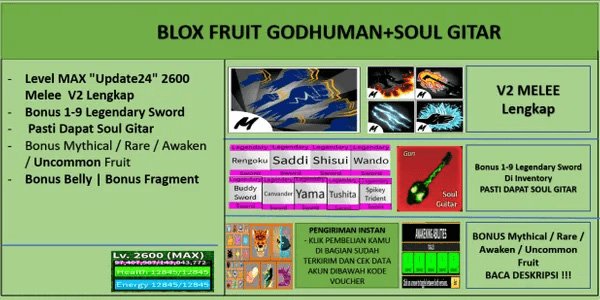 Blox Fruit Godhuman Account [Max Level] [Datpol] [Not Verified]