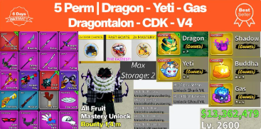 [Blox Fruit] Permanent Fruit Account - No 1