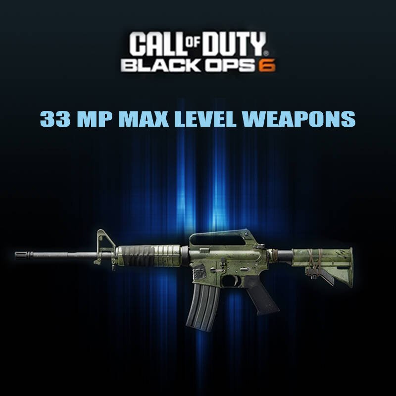 33 Max Level Weapons Accounts