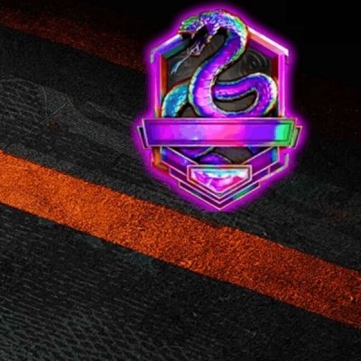 COD BO6 Full Carry Rank Service