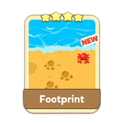 Footprint