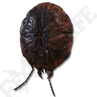 Ant'S Skull Plate