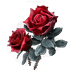 BLOODROSE