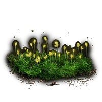 BUDDING CAVE MOSS