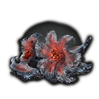 FIRE BLOSSOM