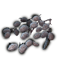FROZEN RAISIN
