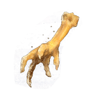 GOLD-PICKLED FOWL FOOT