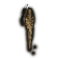 GRACE MIMIC