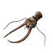 GREAT DRAGONFLY HEAD