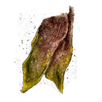 IMMUNIZING CURED MEAT