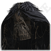 Plumes noires de rapace