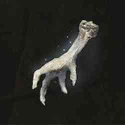 SILVER-PICKLED FOWL FOOT
