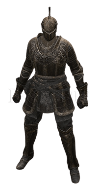 [SOTE] Oathseeker Knight Set