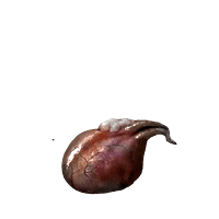 Scorpion Liver *999