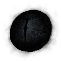 Iris of Occultation *10