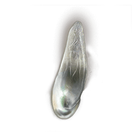 Pearlescent Scale *999