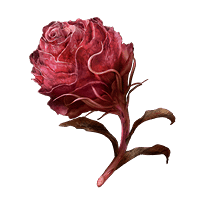 Scarlet Bud *999