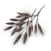 Spirit Raisin *10