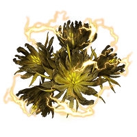 Yellow Fulgurbloom *999