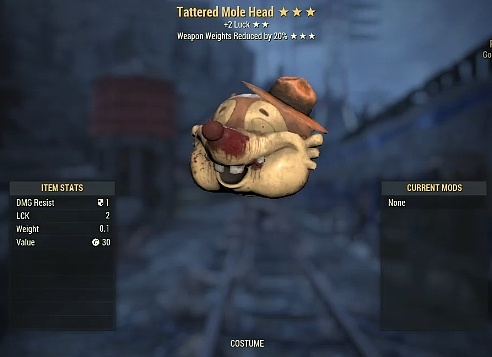 Tatter Mole Head