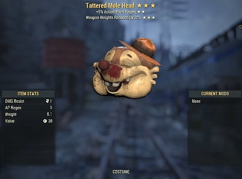 Tatter Mole Head 3