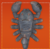 Plan: Scorpion Plushie Backpack Skin