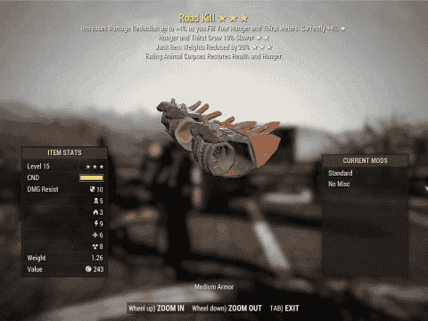 Road Kill