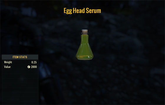 Egg Head Serum