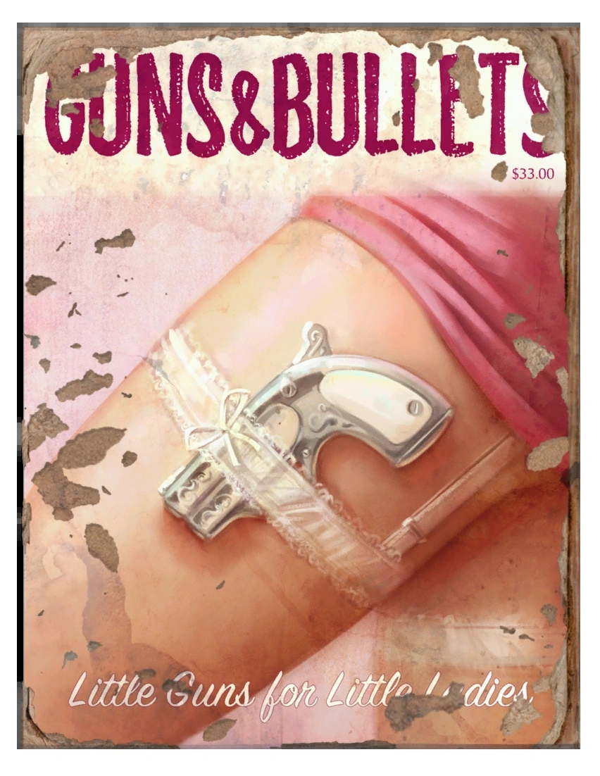 Guns and Bullets #3 x 100