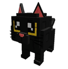 Black Cat