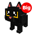 Black Cat