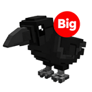 Black Crow