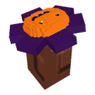 Spirit Sunflower