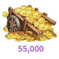 55000 Coins