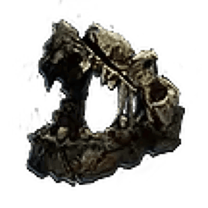 Gnawed Jawbone