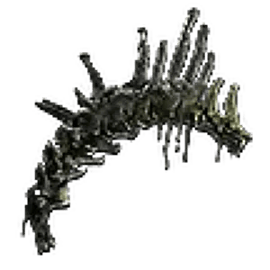 Preserved Vertebrae