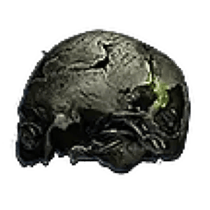 Preserved Cranium