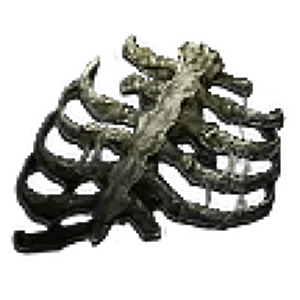 Preserved Rib