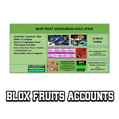 Blox Fruits Accounts